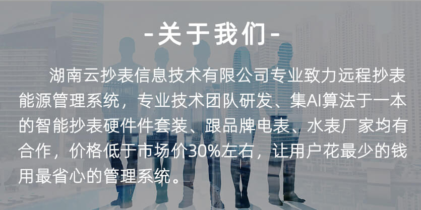 長(zhǎng)沙威勝威銘LXLY水平螺翼式電子式大口徑水表