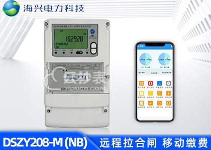 杭州海興DSZY208-M無線NB預(yù)付費(fèi)電能表